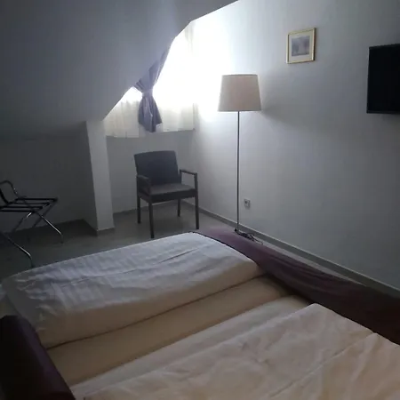 호텔 비오코보 4*